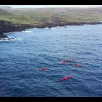 "Hanga Ho'onu – La BAHIA DE LAS TORTUGAS " thumbnail 6