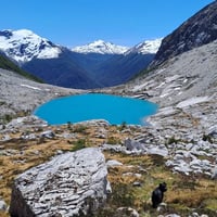 Torres del Avellano thumbnail 7