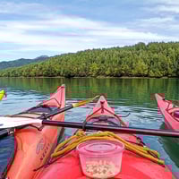  Kayak Fiordo Puyuhuapi y Glaciar Queulat thumbnail 4