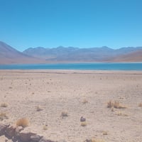 Tour San pedro de atacama thumbnail 3