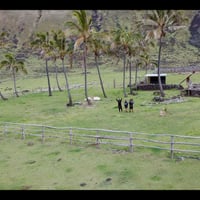 Anakena – Hanga Oteo – “El Oasis Perdido de Hanga  thumbnail 6