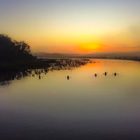 Kayaking al amanecer  thumbnail 5