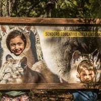 Sendero Educativo Las Trancas thumbnail 6