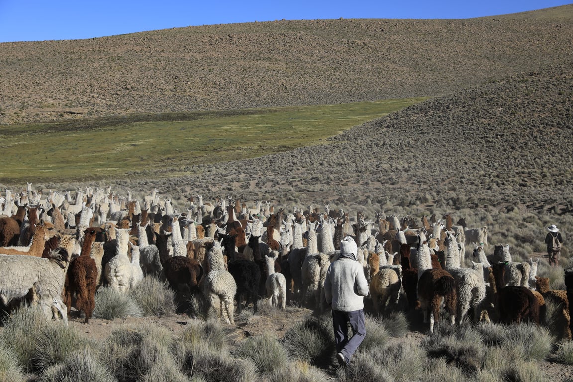 Turismo Experiencial Aymara - Image 1