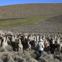 Turismo Experiencial Aymara thumbnail 1