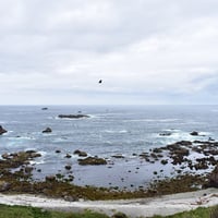 Hiking guiado En Chiloe Duhatao-Chepu-Ahuenco thumbnail 5