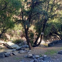 Caminatas Autoguiadas en San Esteban-La Canabina  thumbnail 11