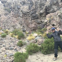 Tour Parque Nacional Volcán Isluga  thumbnail 3