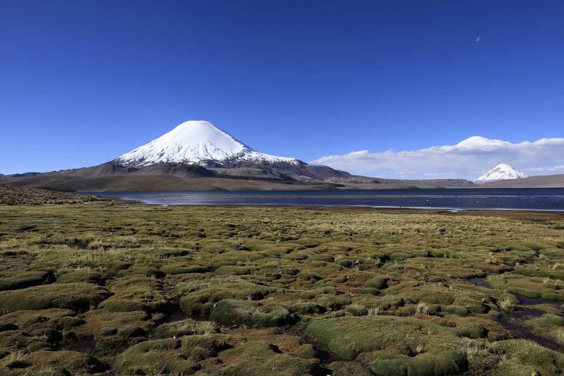 Excursión Parque Nacional Lauca - Image 1