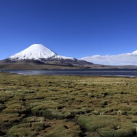 Excursión Parque Nacional Lauca thumbnail 1