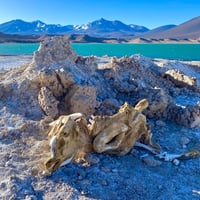 Fotografía y termas en Laguna Verde thumbnail 5