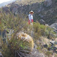 Caminatas Autoguiadas en San Esteban-La Canabina  thumbnail 6