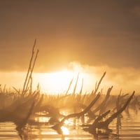 Kayaking al amanecer  thumbnail 6