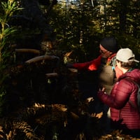 Trekking Lagunas Andinas & Bosque de Araucarias thumbnail 1