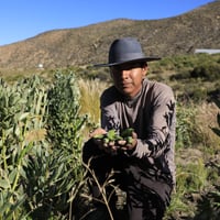 Turismo Experiencial Aymara thumbnail 9