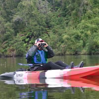 Observación de aves y flora en kayak río Cutipay thumbnail 8