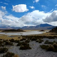 Excursión Parque Nacional Lauca thumbnail 5