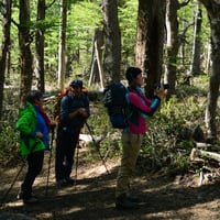 Trekking Lagunas Andinas & Bosque de Araucarias thumbnail 5