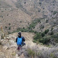 Trekking a un Bosque de Canelos en San Esteban thumbnail 7