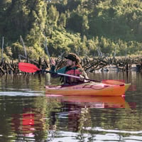 Kayaking al amanecer  thumbnail 2