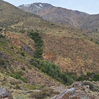 Trekking a un Bosque de Canelos en San Esteban thumbnail 11