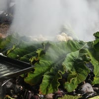 Curanto al Hoyo, Chiloé thumbnail 4
