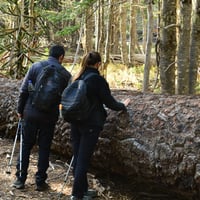Trekking Lagunas Andinas & Bosque de Araucarias thumbnail 3