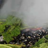 Curanto al Hoyo, Chiloé thumbnail 7