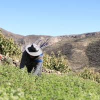 Turismo Experiencial Aymara thumbnail 2